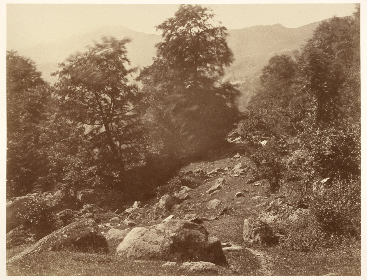 La Vallée du Lys (Coup de Vent) da Aimé Civiale