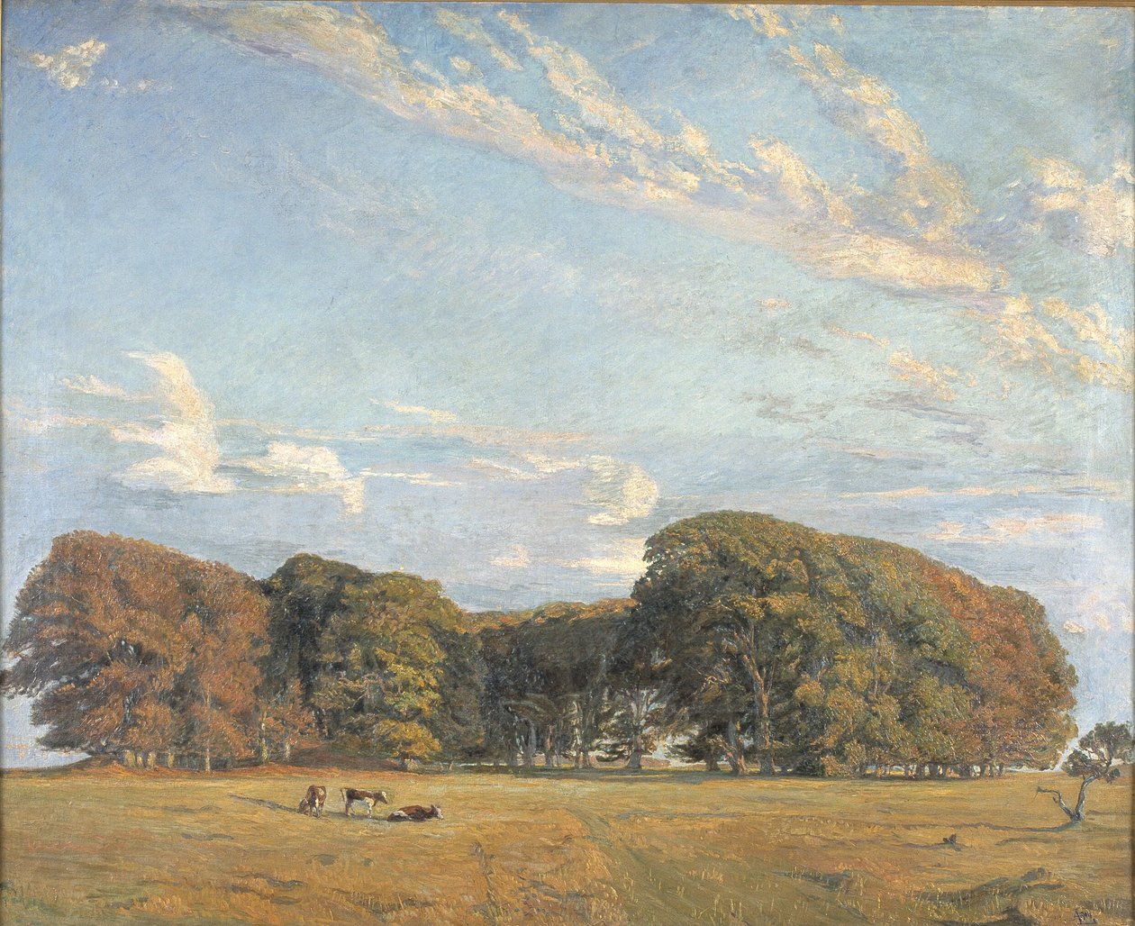 Pianura dell