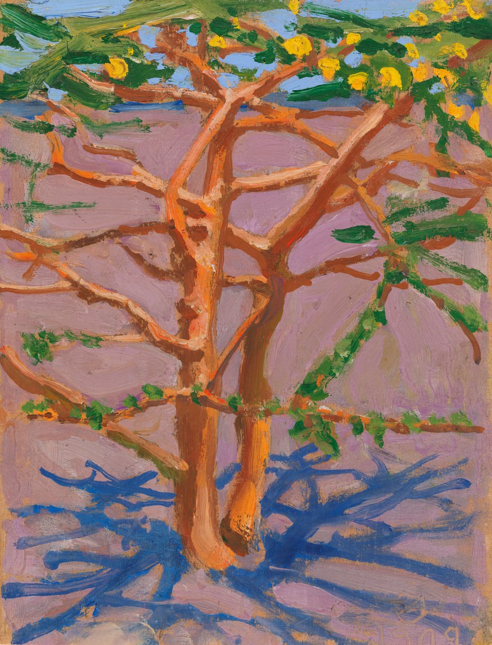 Acacia nella savana da Akseli Gallen-Kallela