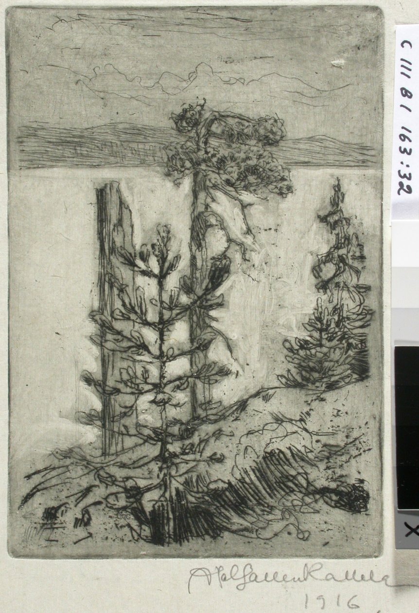 Paesaggio lacustre da Akseli Gallen-Kallela