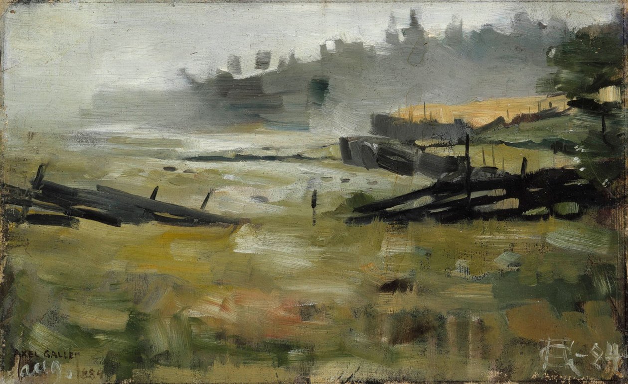 Paesaggio nebbioso da Akseli Gallen-Kallela