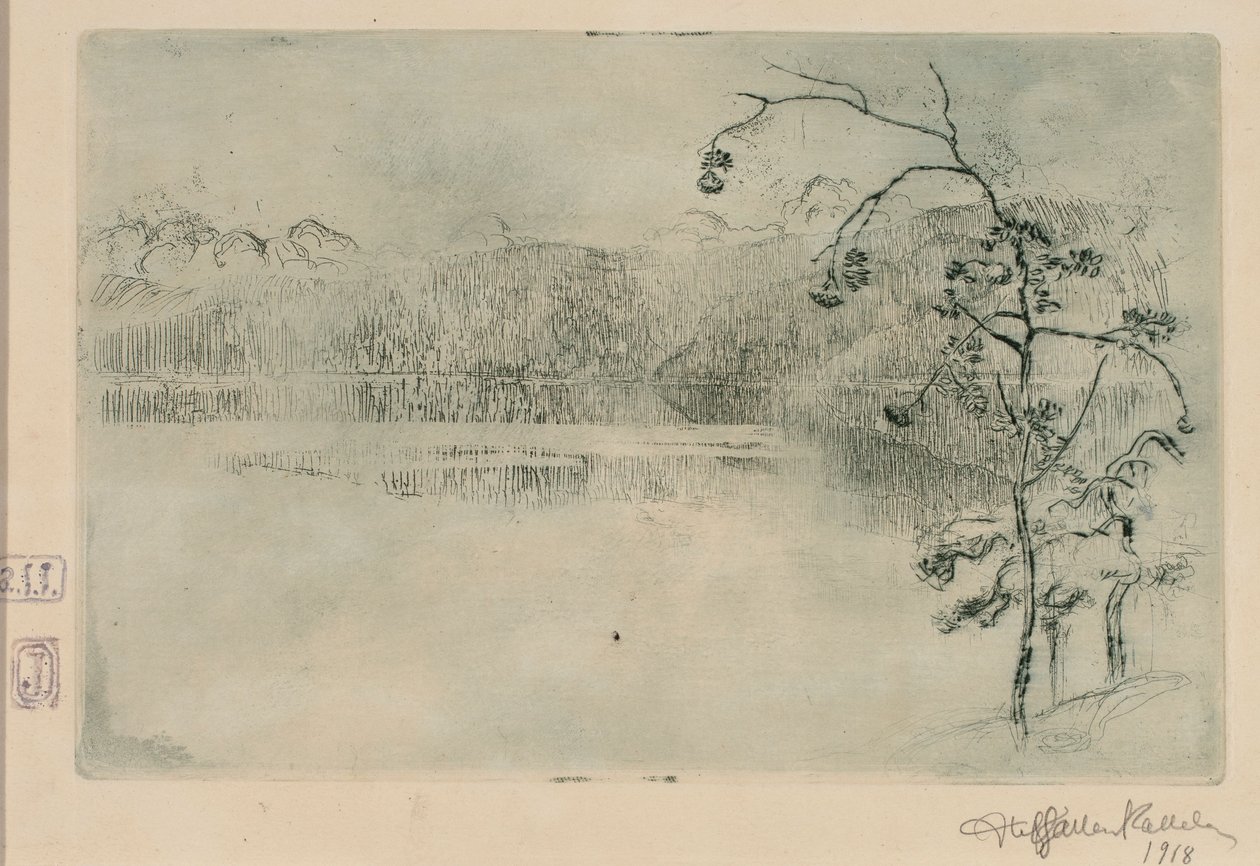 Il lago Paanajärvi nella nebbia da Akseli Gallen-Kallela