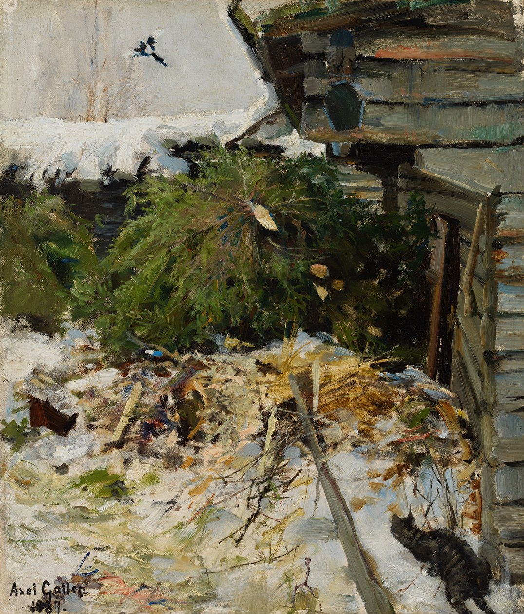 Abeti rossi in un cortile di una fattoria da Akseli Gallen-Kallela