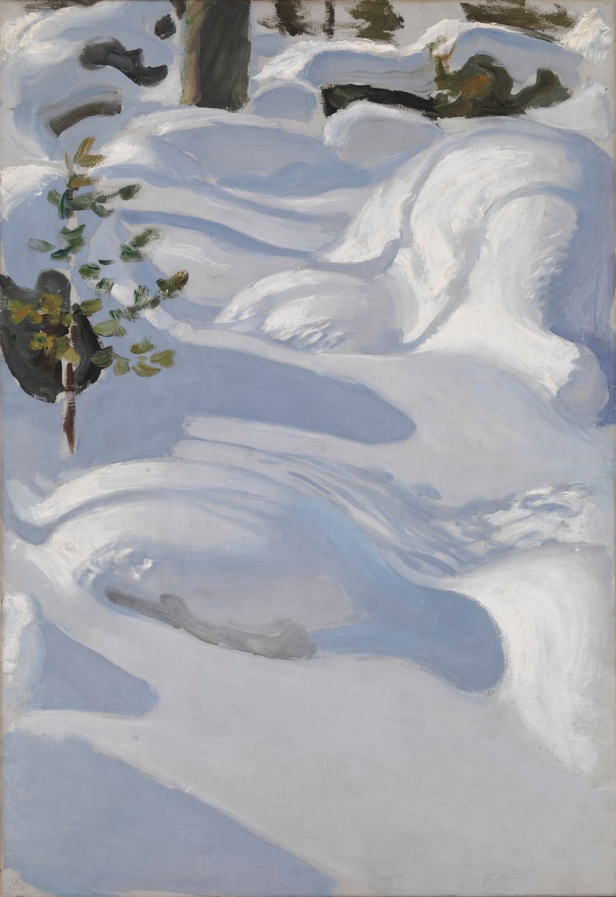 Raggi di sole sulla neve da Akseli Gallen-Kallela