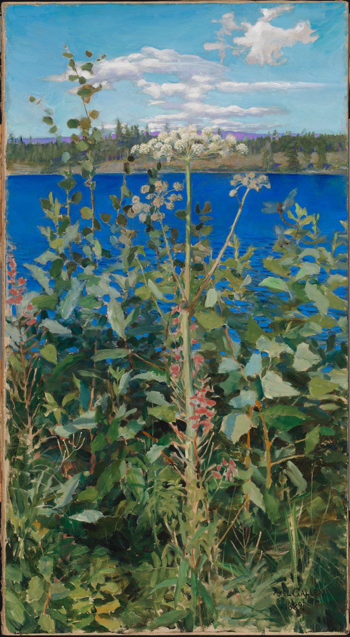 Angelica selvatica da Akseli Gallen-Kallela