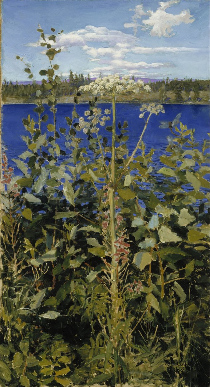 Angelica selvatica da Akseli Gallen-Kallela