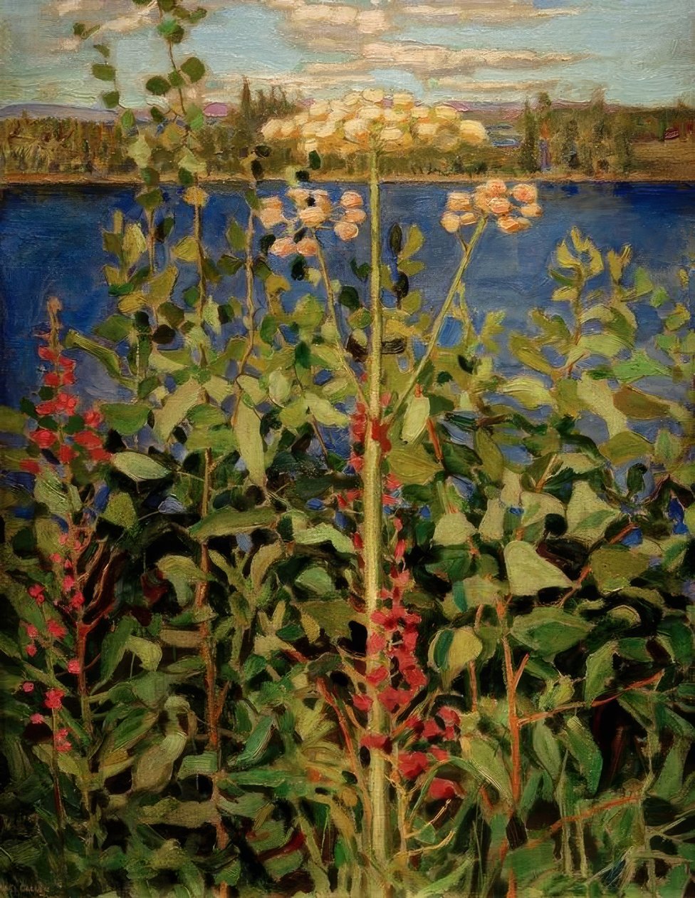 Angelica selvatica da Akseli Valdemar Gallen Kallela