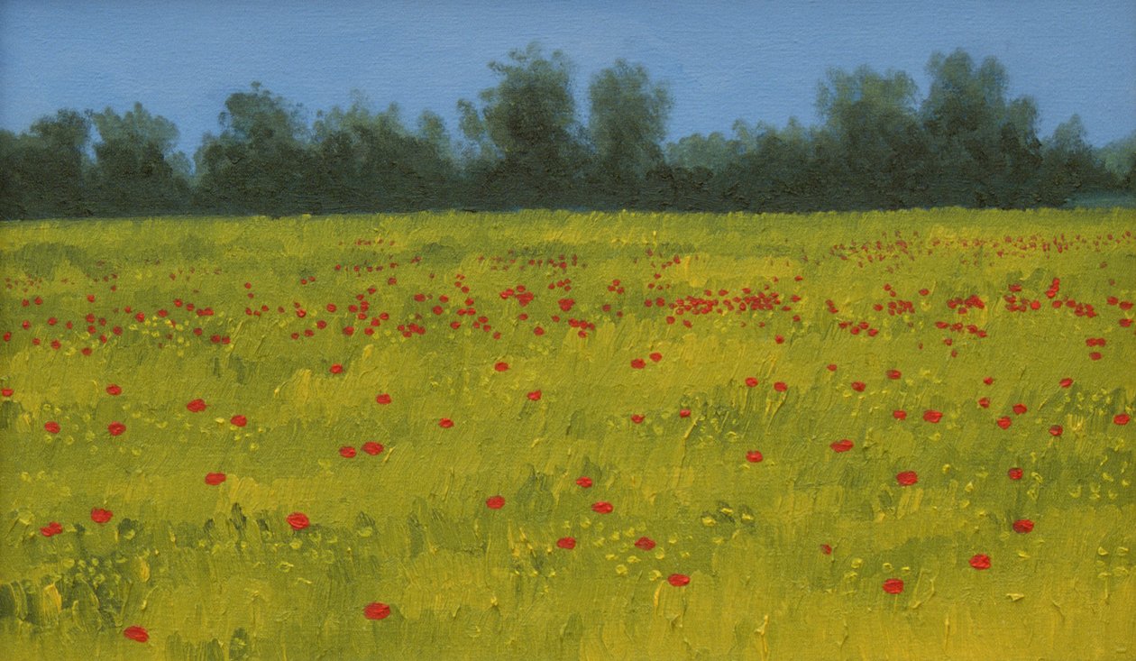 Campo giallo con papaveri da Alan Byrne