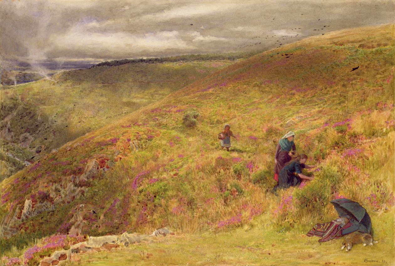 Sulle South Downs, 1879 da Albert Goodwin