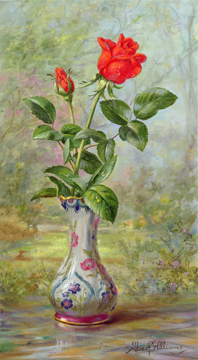 La rosa cremisi, un messaggero d