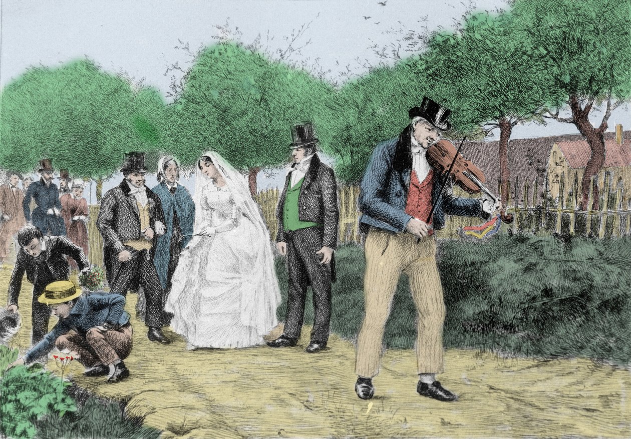 Illustrazione del romanzo 
