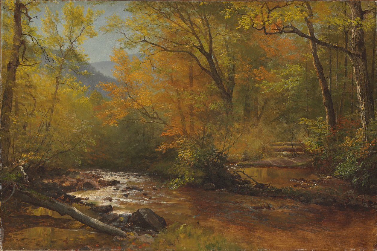 Ruscello nel Bosco da Albert Bierstadt