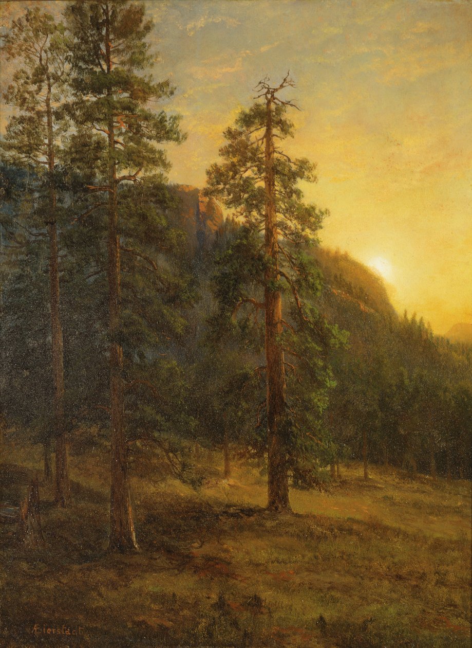 Le sequoie della California da Albert Bierstadt