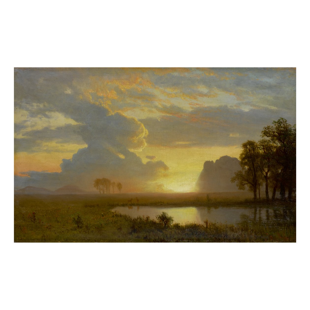 ESTES PARK, COLORADO da Albert Bierstadt