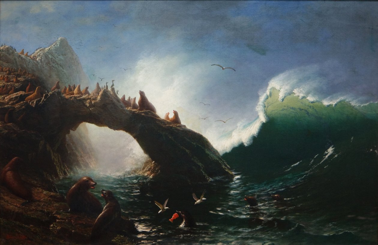 Isola delle Farallon da Albert Bierstadt