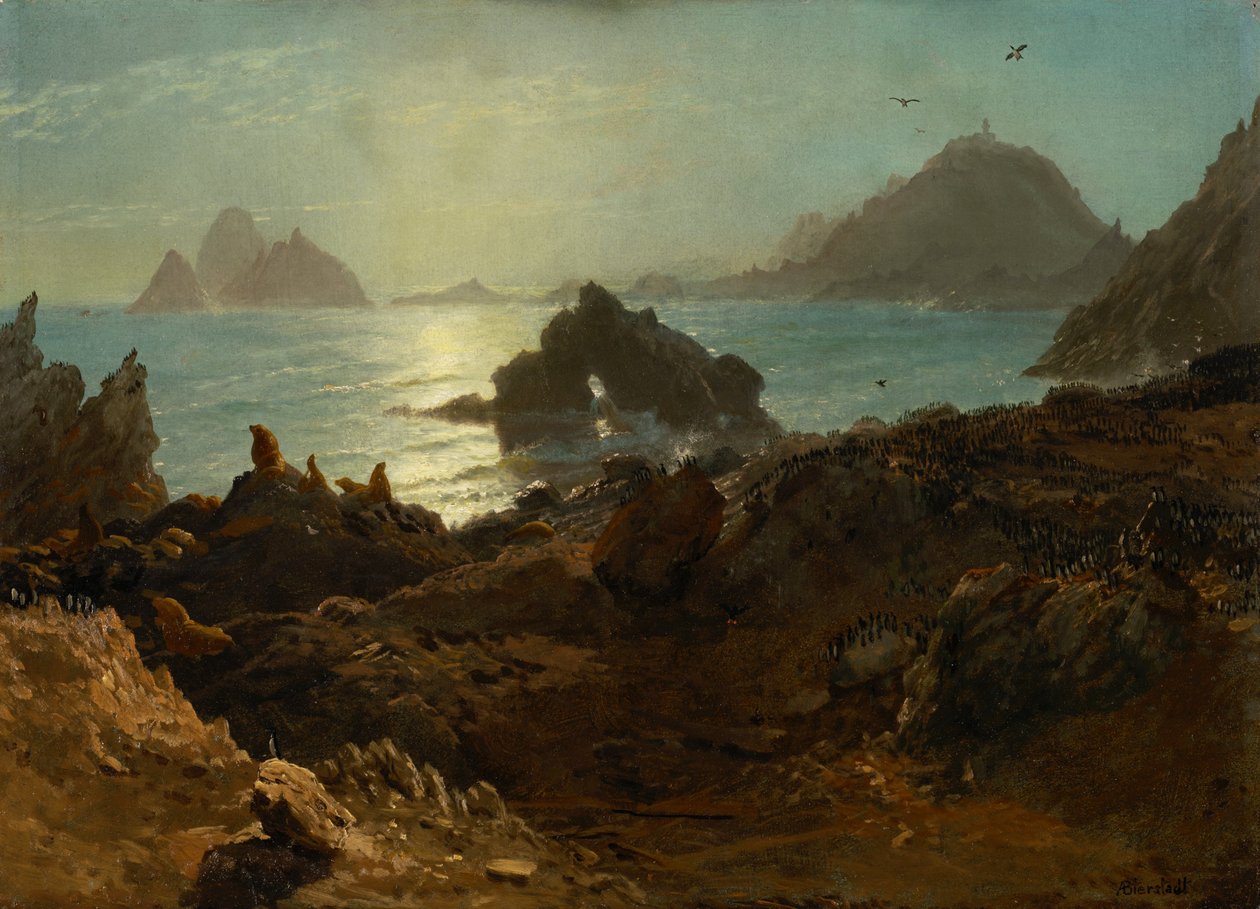 Isole Farallon, Oceano Pacifico, California da Albert Bierstadt