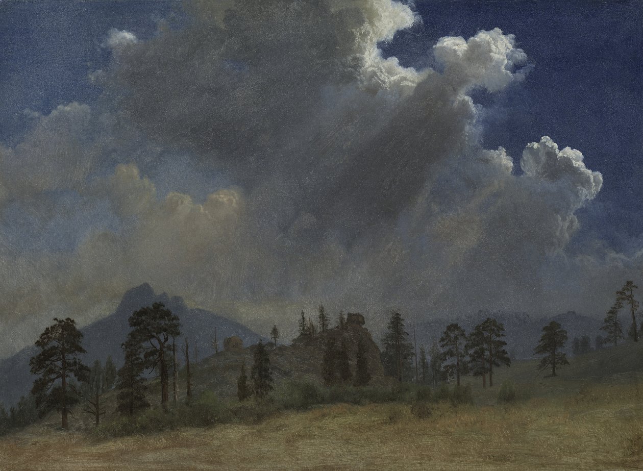 Abeti e nuvole temporalesche da Albert Bierstadt