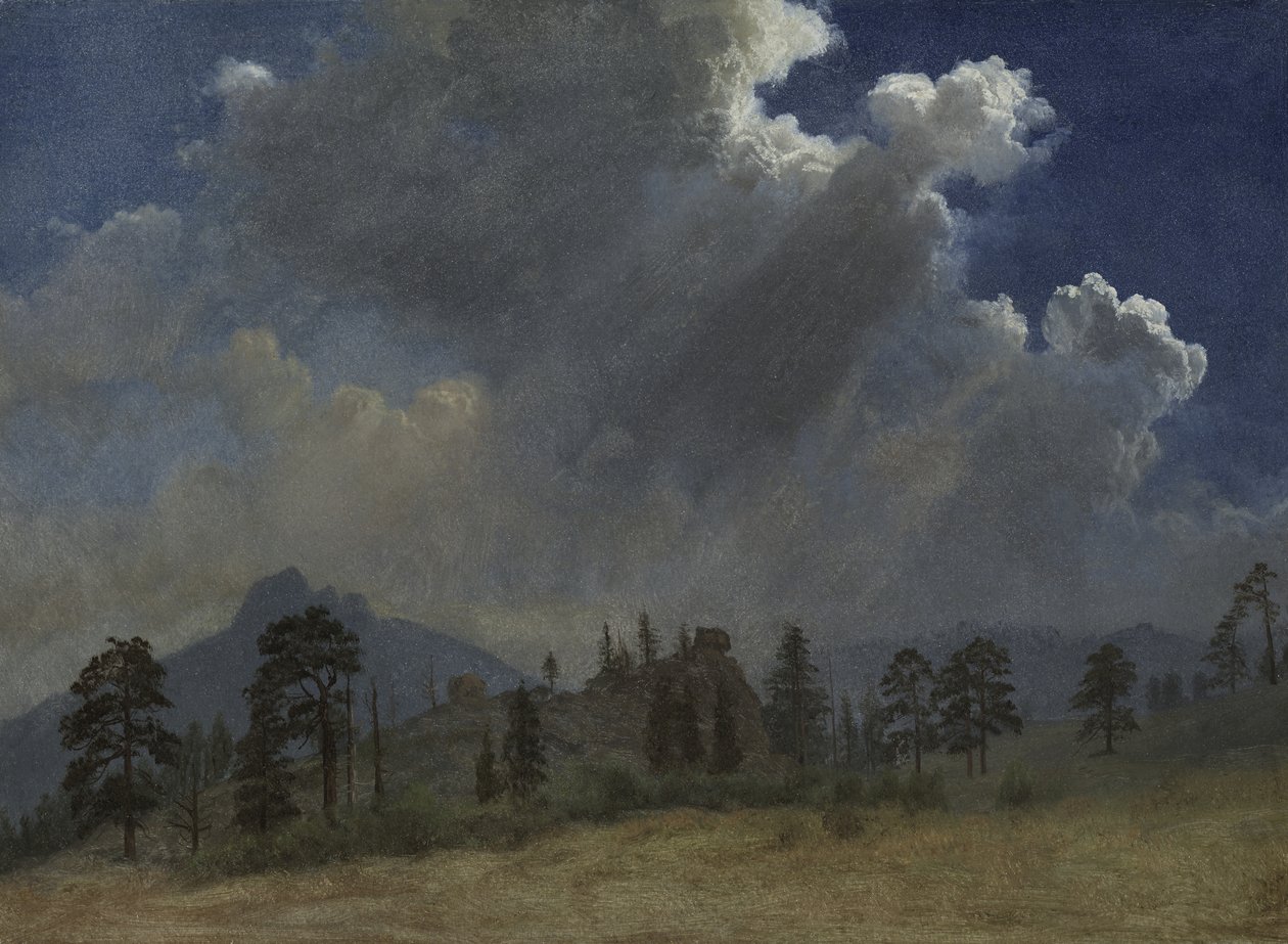 Abeti e Nuvole di Tempesta, c.1870 da Albert Bierstadt
