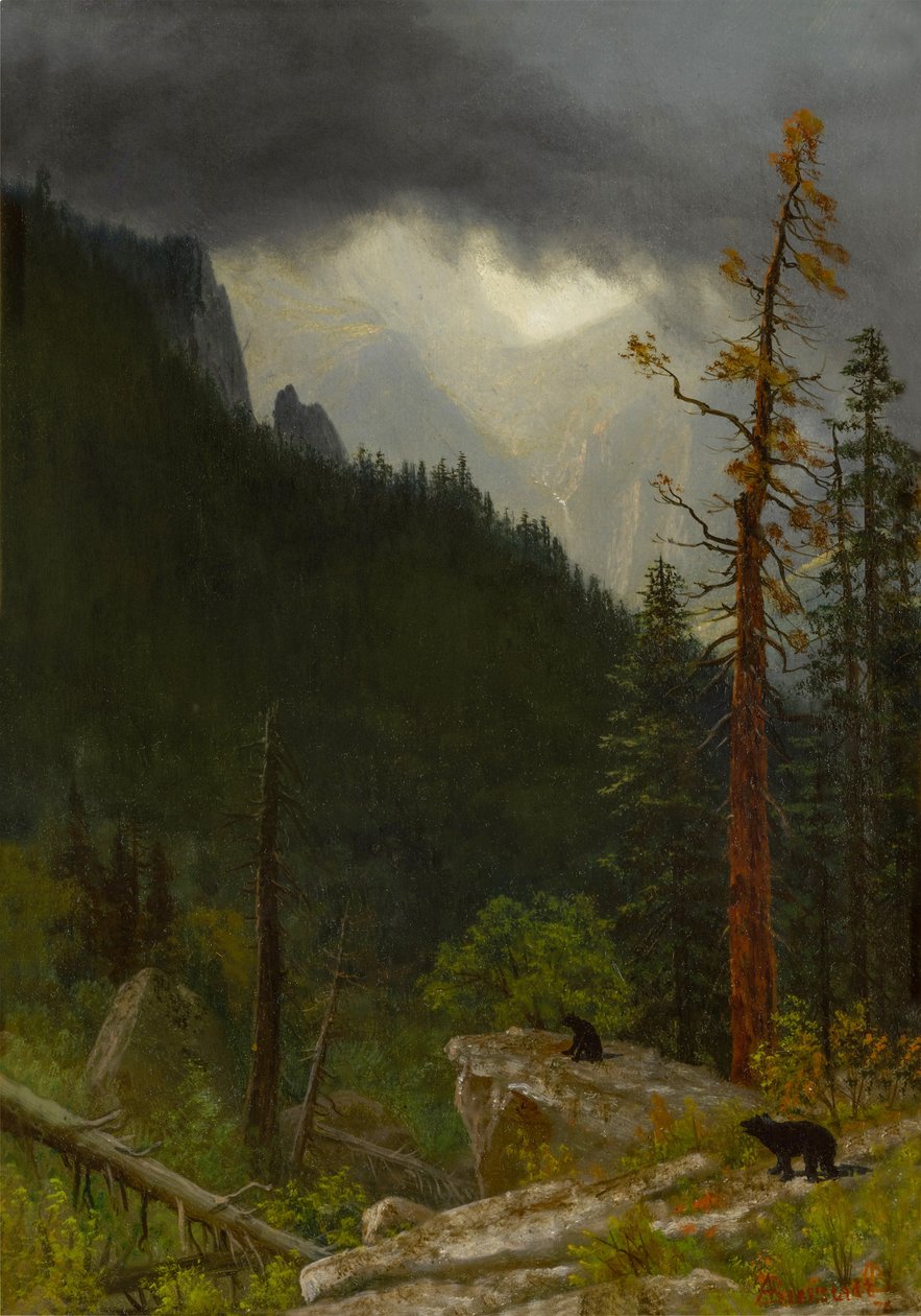 Le Montagne Rocciose dopo la tempesta da Albert Bierstadt