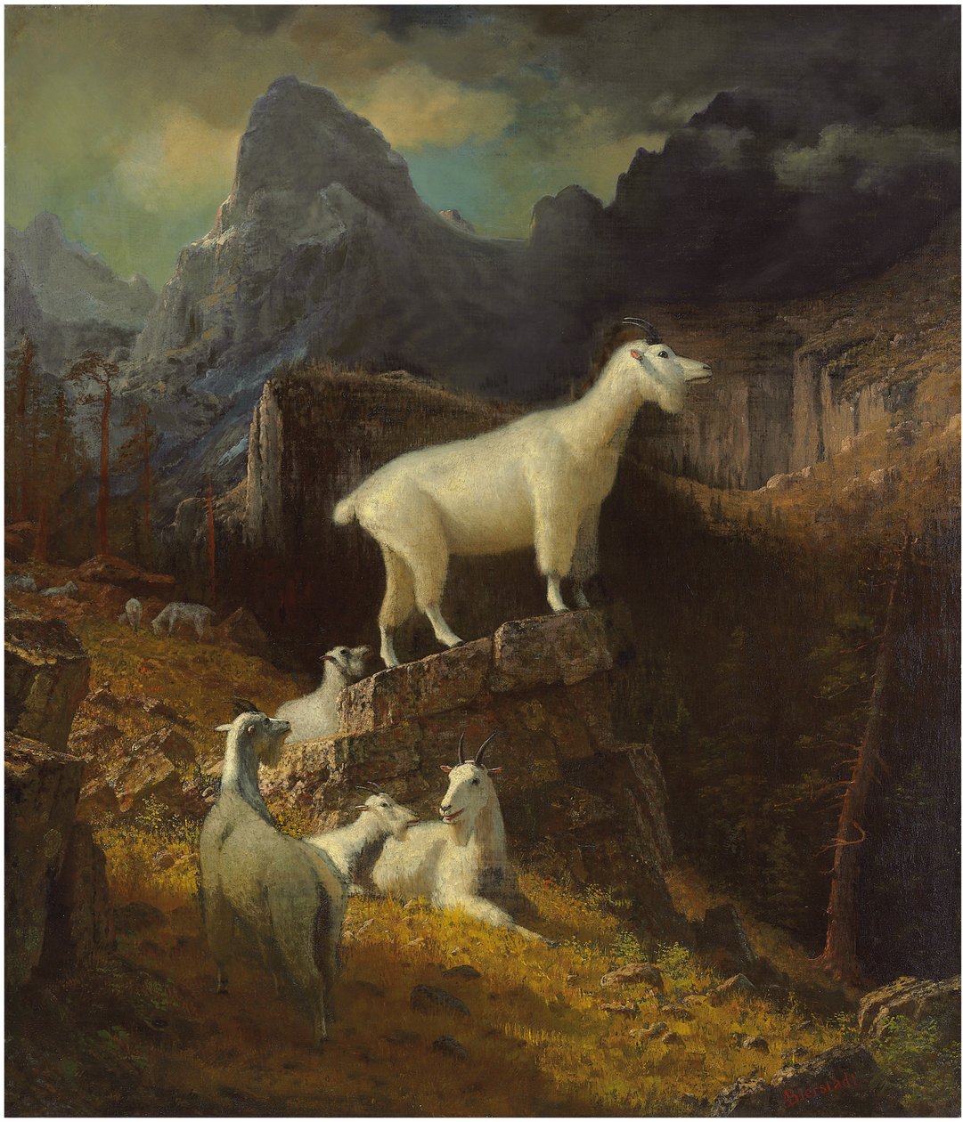 Capre delle Montagne Rocciose da Albert Bierstadt