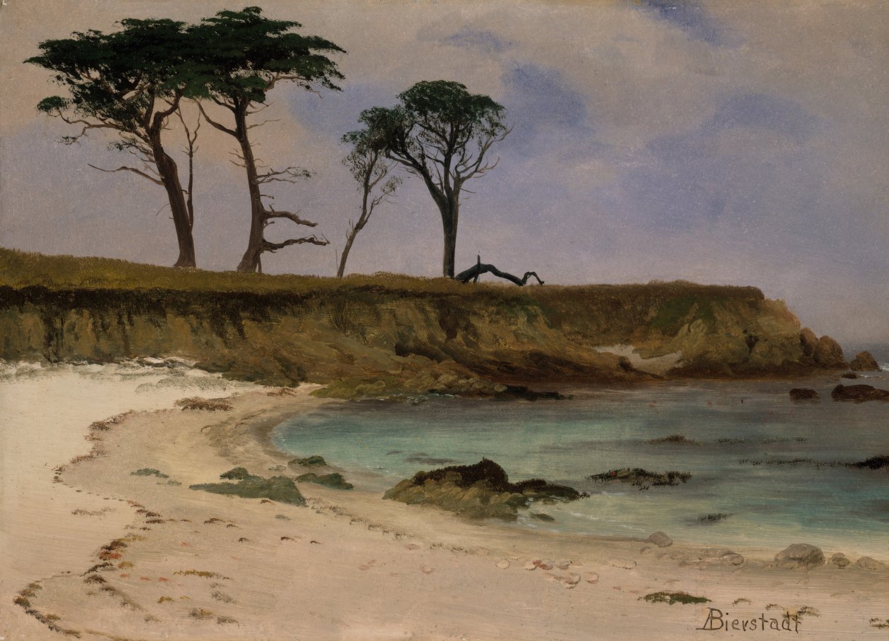 Cala sul mare da Albert Bierstadt