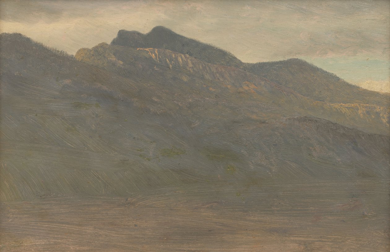 Serena vista montana (White Mountains, New Hampshire) da Albert Bierstadt
