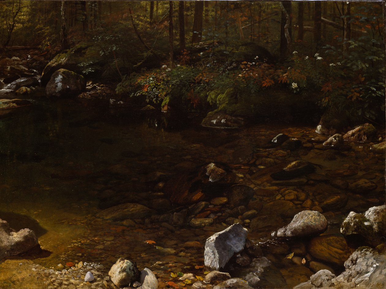 Stagno ombroso, White Mountains, New Hampshire da Albert Bierstadt