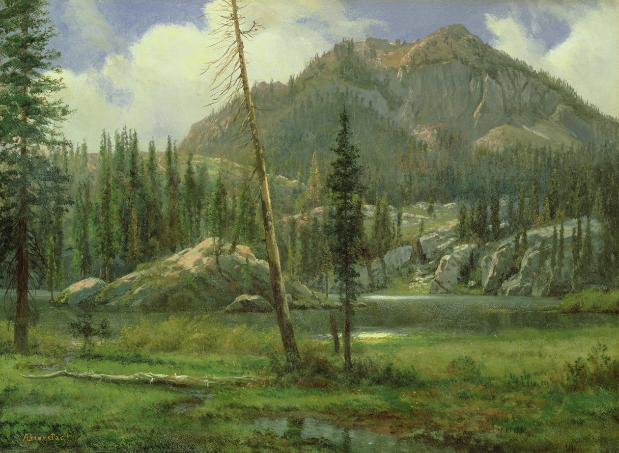 Montagne della Sierra Nevada da Albert Bierstadt