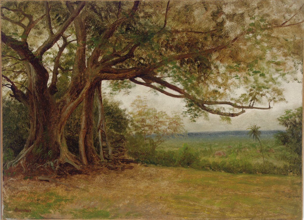 Studio per 