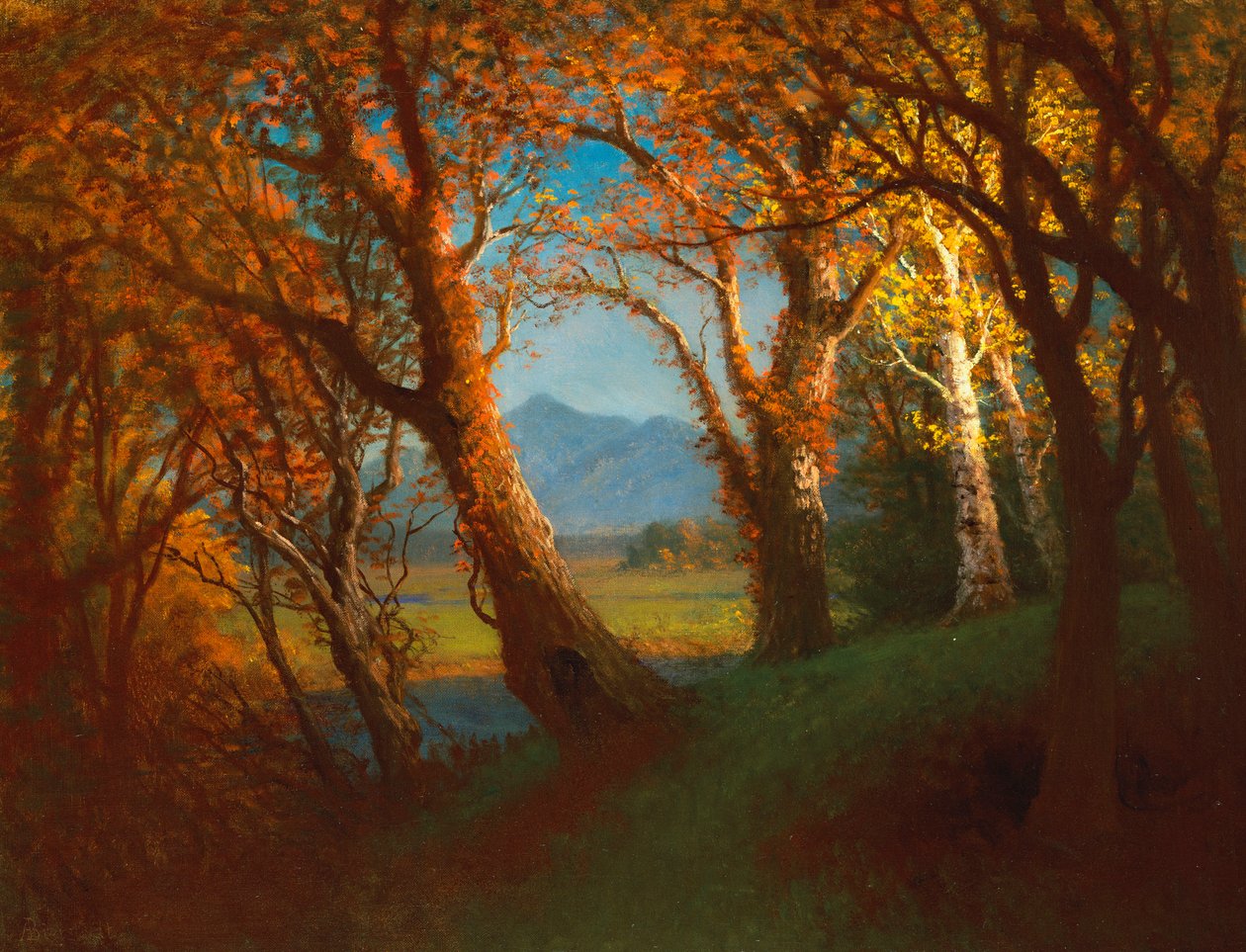 Tramonto nel territorio del Nebraska da Albert Bierstadt