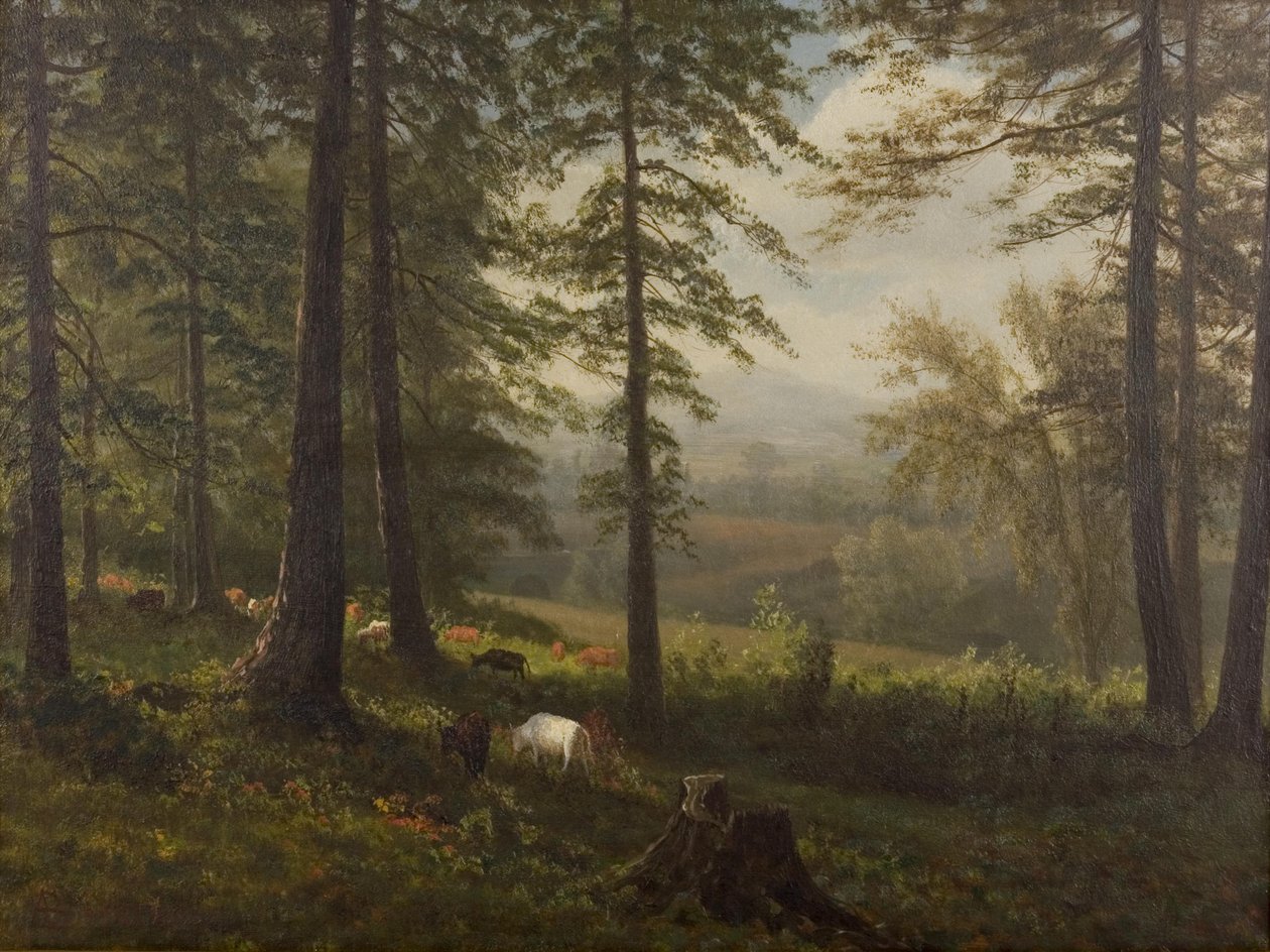 Vista su una radura da Albert Bierstadt