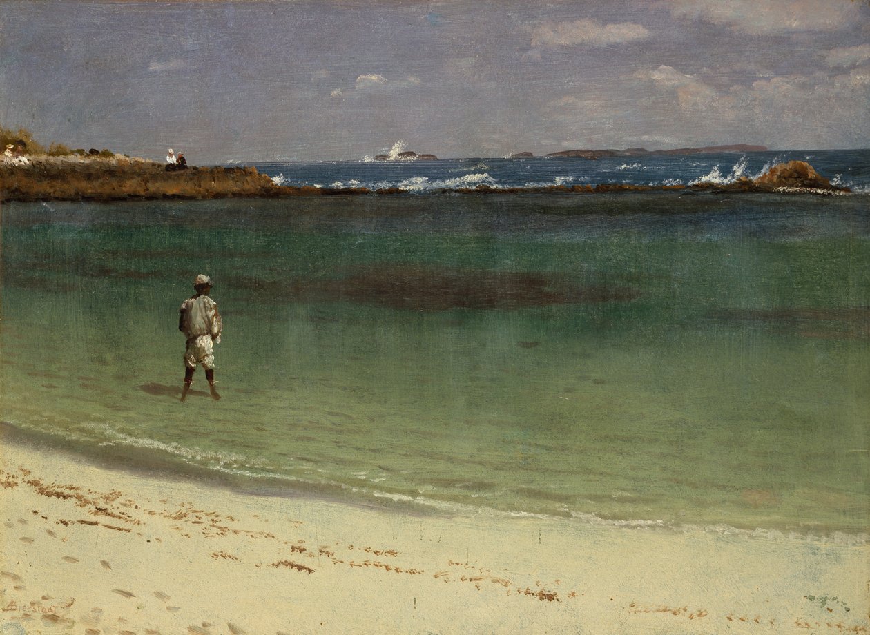 Scena sulla costa delle Indie Occidentali da Albert Bierstadt