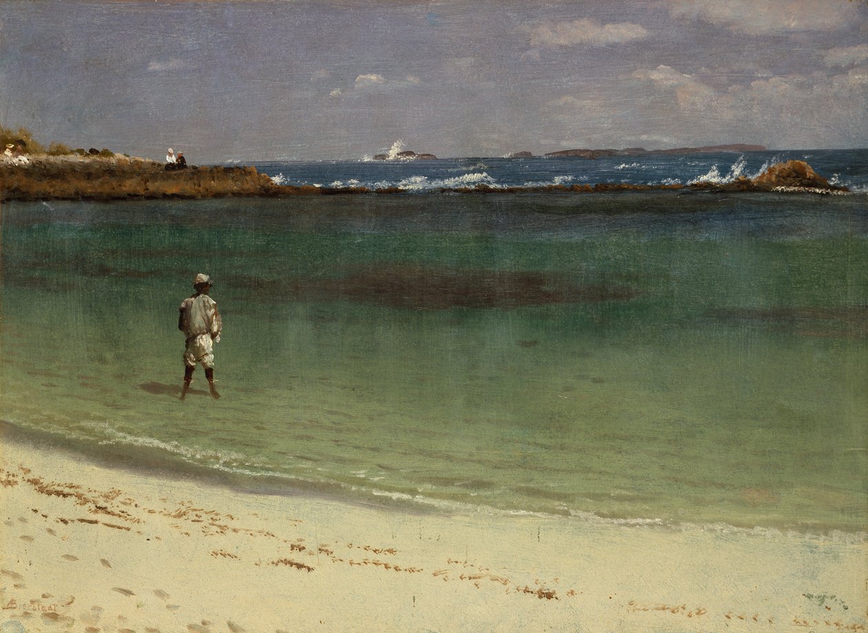 Scena della costa delle Indie occidentali, 1880-93 circa (olio su carta montata su pannello di fibra) da Albert Bierstadt
