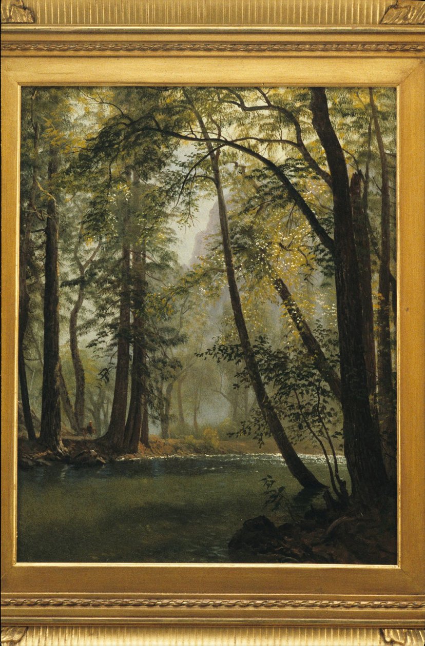 Yosemite Valley, California da Albert Bierstadt