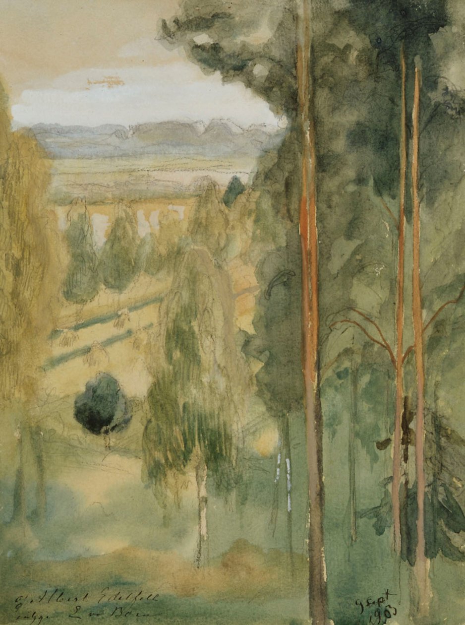 Paesaggio da Albert Edelfelt