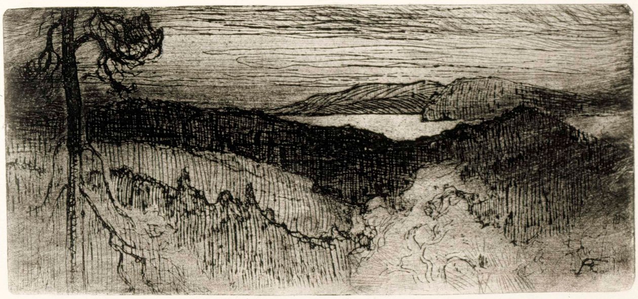 Paesaggio della Tavastia da Albert Edelfelt