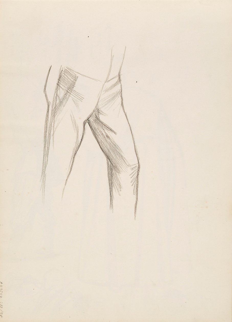 La parte inferiore del corpo maschile da Albert Edelfelt