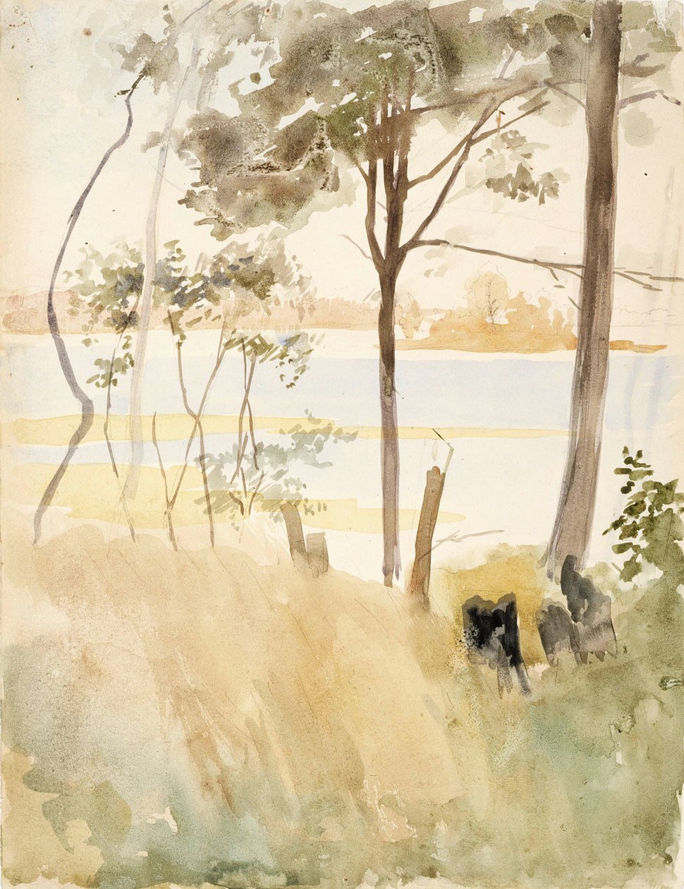 La costa di Haikko in autunno da Albert Edelfelt