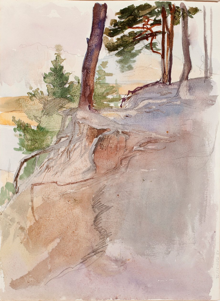 Senza titolo da Albert Edelfelt