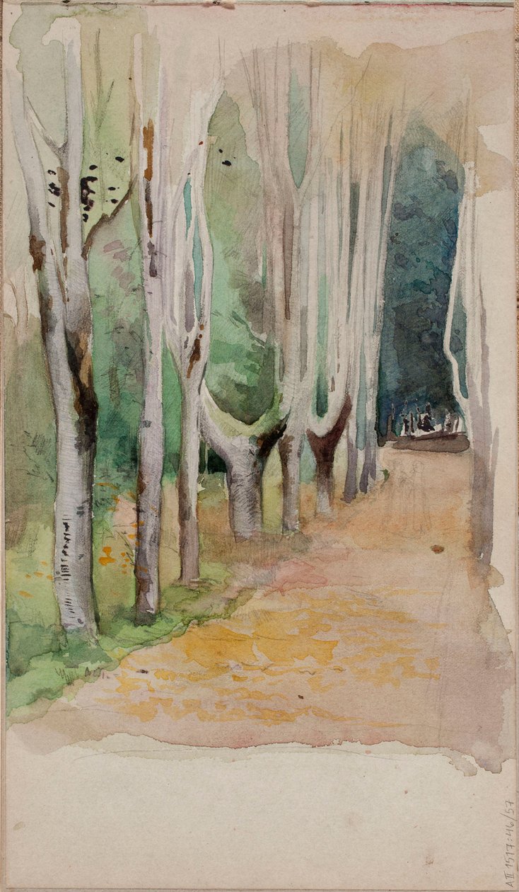 Senza titolo da Albert Edelfelt
