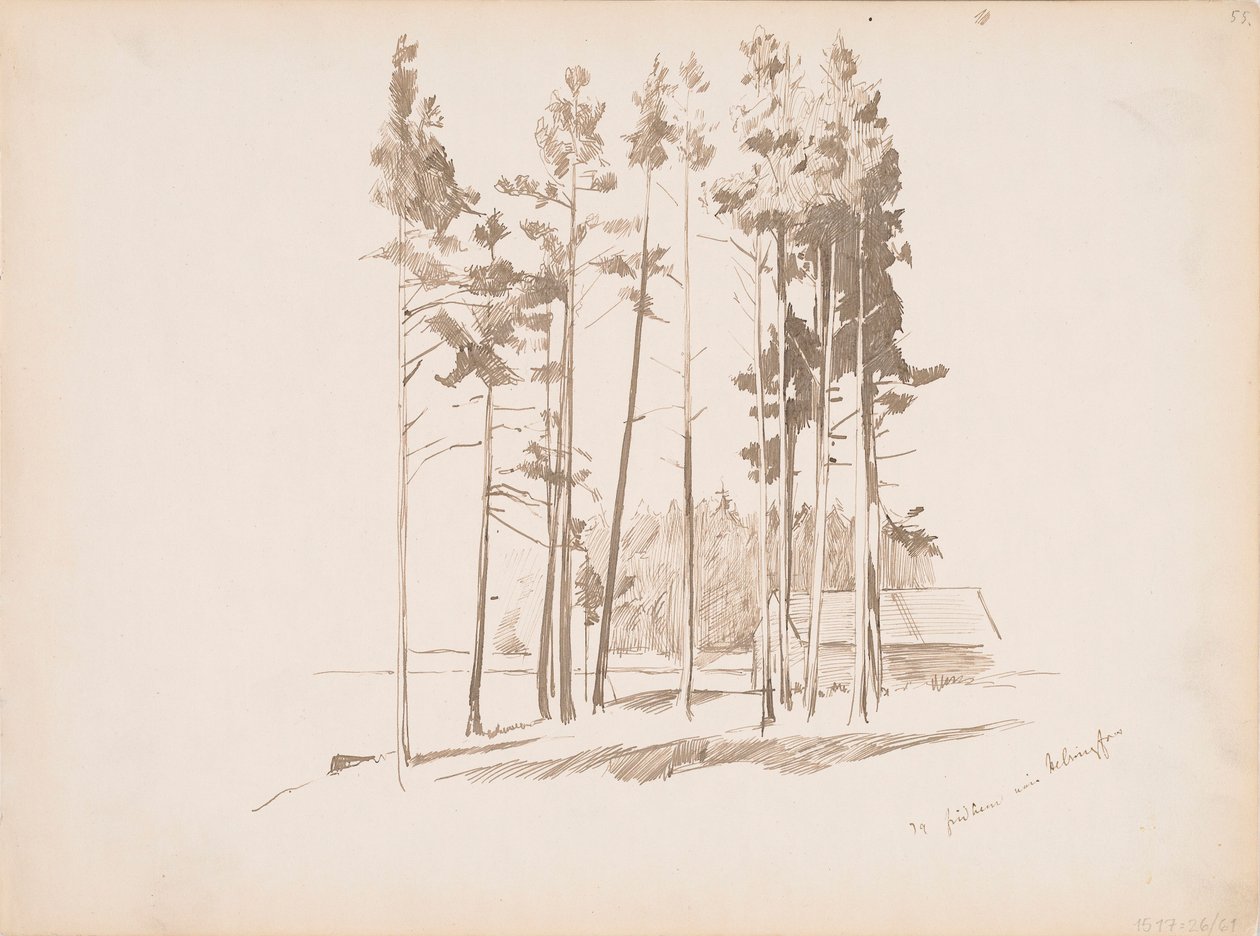 Senza titolo da Albert Edelfelt