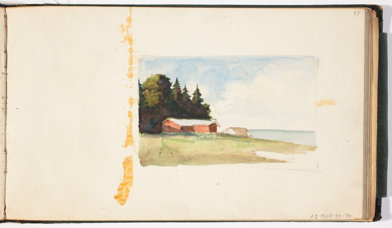 Senza titolo da Albert Edelfelt