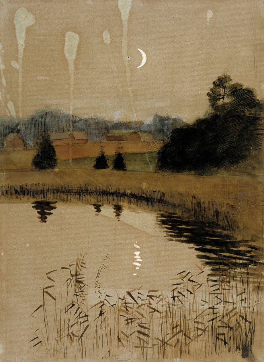 Senza titolo da Albert Edelfelt