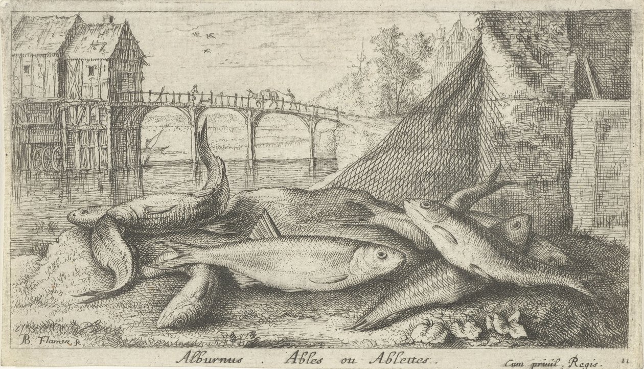 Alburni su una riva del fiume da Albert Flamen