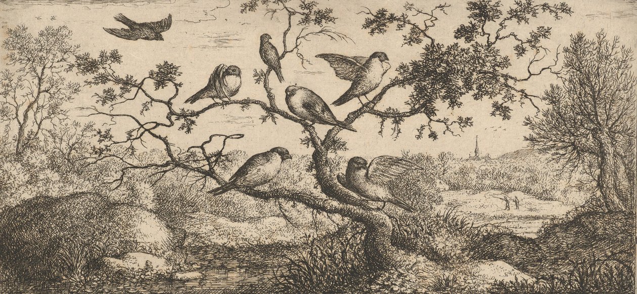 Ficedula, Piuoyne Il Ciuffolotto: Libro degli Uccelli, 1655-1660 da Albert Flamen