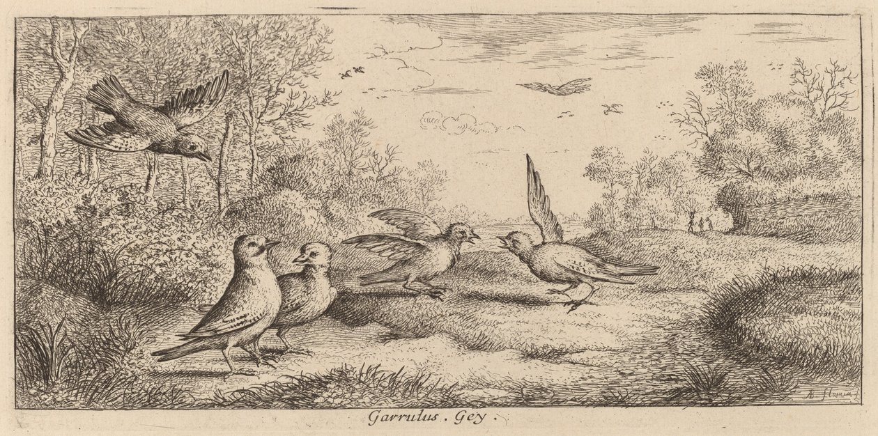 Garrulus, la ghiandaia da Albert Flamen