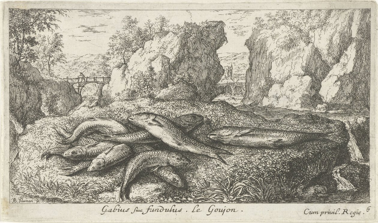 Ghiozzi su una riva del fiume da Albert Flamen