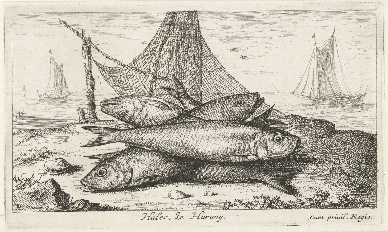 Aringhe vicino a una rete da pesca da Albert Flamen