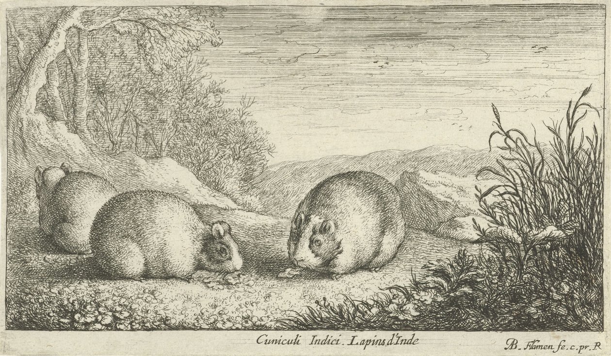 Roditori da Albert Flamen