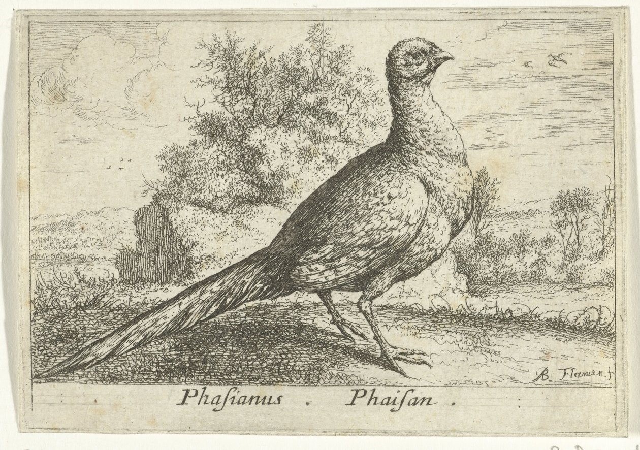 Paesaggio con fagiano da Albert Flamen